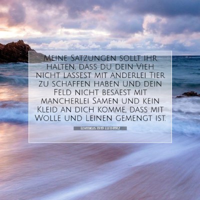 Picture 07 - Levitikus 19:19 LUTH1912 - Meine Satzungen sollt ihr halten, daß du dein - Bible Verse Picture