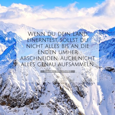 Picture 07 - Levitikus 19:9 LUTH1912 - Wenn du dein Land einerntest, sollst du nicht - Bible Verse Picture