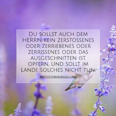 Picture 07 - Levitikus 22:24 LUTH1912 - Du sollst auch dem HERRN kein zerstoßenes oder - Bible Verse Picture