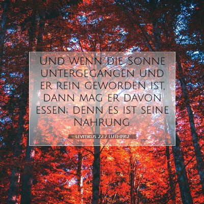 Picture 07 - Levitikus 22:7 LUTH1912 - Und wenn die Sonne untergegangen und er rein - Bible Verse Picture