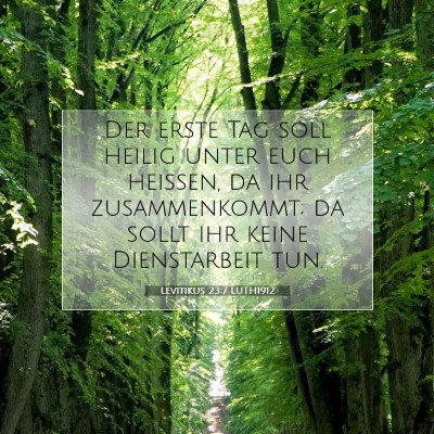 Picture 07 - Levitikus 23:7 LUTH1912 - Der erste Tag soll heilig unter euch heißen, da - Bible Verse Picture