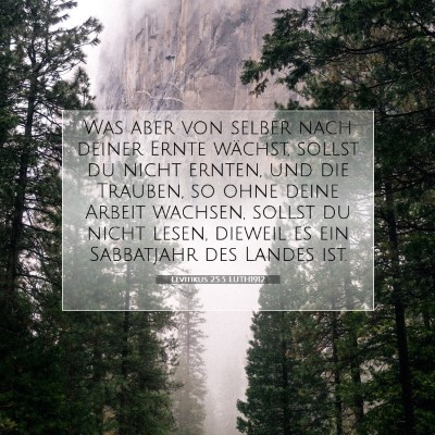 Picture 07 - Levitikus 25:5 LUTH1912 - Was aber von selber nach deiner Ernte wächst, - Bible Verse Picture