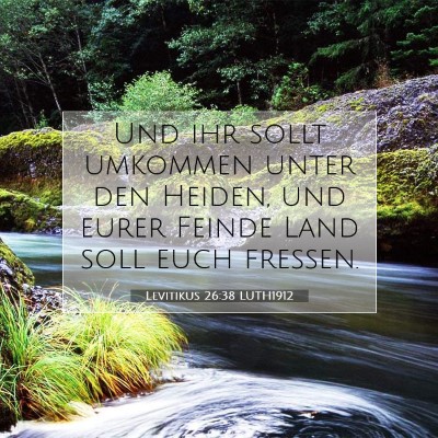 Picture 07 - Levitikus 26:38 LUTH1912 - Und ihr sollt umkommen unter den Heiden, und - Bible Verse Picture