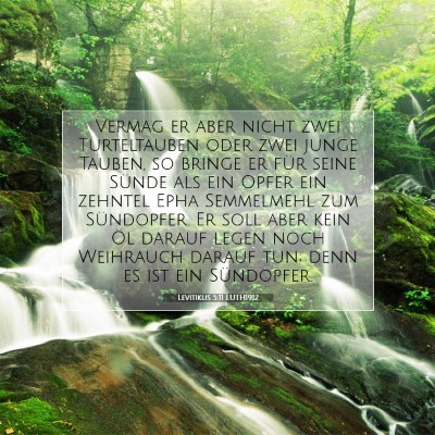 Picture 07 - Levitikus 5:11 LUTH1912 - Vermag er aber nicht zwei Turteltauben oder zwei - Bible Verse Picture