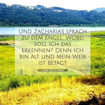 Picture 07 - Lukas 1:18 LUTH1912 - Und Zacharias sprach zu dem Engel: Wobei soll ich - Bible Verse Picture