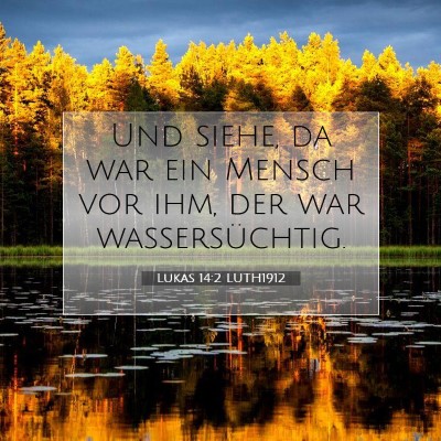 Picture 07 - Lukas 14:2 LUTH1912 - Und siehe, da war ein Mensch vor ihm, der war - Bible Verse Picture