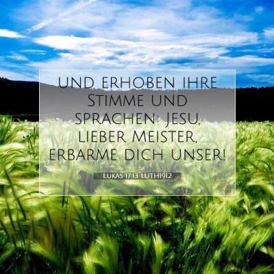 Picture 07 - Lukas 17:13 LUTH1912 - und erhoben ihre Stimme und sprachen: Jesu, - Bible Verse Picture