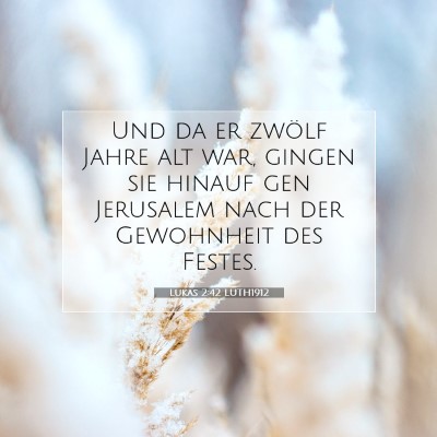 Picture 07 - Lukas 2:42 LUTH1912 - Und da er zwölf Jahre alt war, gingen sie hinauf - Bible Verse Picture