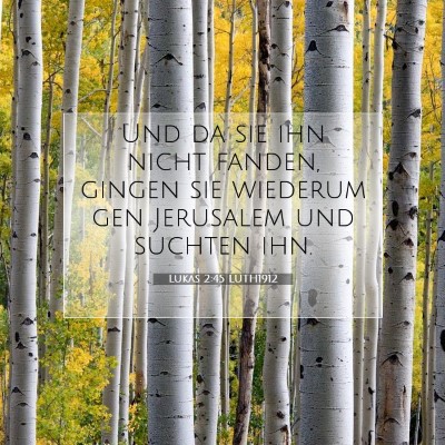 Picture 07 - Lukas 2:45 LUTH1912 - Und da sie ihn nicht fanden, gingen sie wiederum - Bible Verse Picture