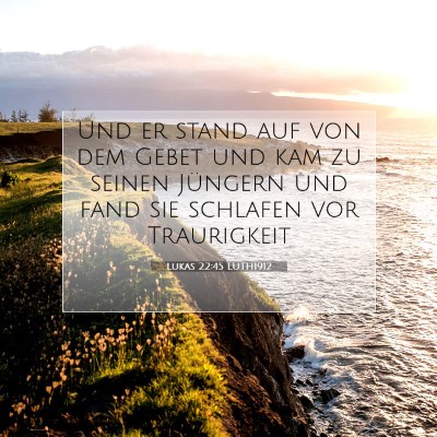 Picture 07 - Lukas 22:45 LUTH1912 - Und er stand auf von dem Gebet und kam zu seinen - Bible Verse Picture