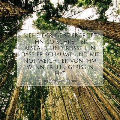 Picture 07 - Lukas 9:39 LUTH1912 - Siehe, der Geist ergreift ihn, so schreit er - Bible Verse Picture