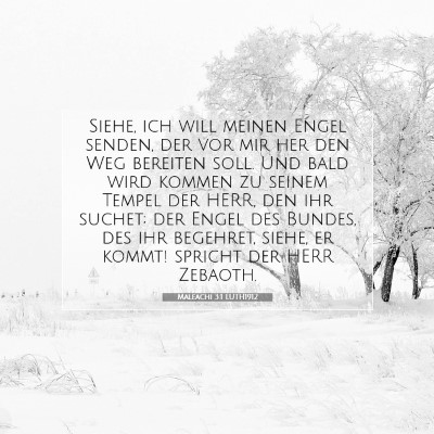 Picture 07 - Maleachi 3:1 LUTH1912 - Siehe, ich will meinen Engel senden, der vor mir - Bible Verse Picture