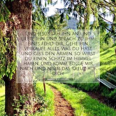 Picture 07 - Markus 10:21 LUTH1912 - Und Jesus sah ihn an und liebte ihn und sprach zu - Bible Verse Picture
