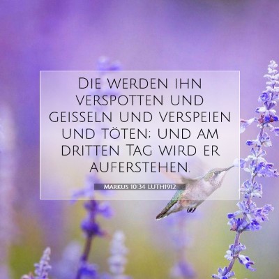 Picture 07 - Markus 10:34 LUTH1912 - Die werden ihn verspotten und geißeln und - Bible Verse Picture