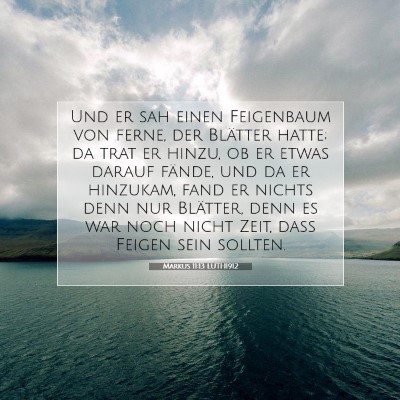 Picture 07 - Markus 11:13 LUTH1912 - Und er sah einen Feigenbaum von ferne, der - Bible Verse Picture