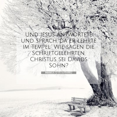 Picture 07 - Markus 12:35 LUTH1912 - Und Jesus antwortete und sprach, da er lehrte im - Bible Verse Picture