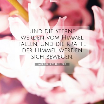 Picture 07 - Markus 13:25 LUTH1912 - und die Sterne werden vom Himmel fallen, und die - Bible Verse Picture