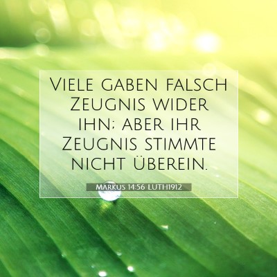 Picture 07 - Markus 14:56 LUTH1912 - Viele gaben falsch Zeugnis wider ihn; aber ihr - Bible Verse Picture