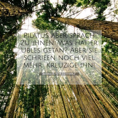 Picture 07 - Markus 15:14 LUTH1912 - Pilatus aber sprach zu ihnen: Was hat er Übles - Bible Verse Picture