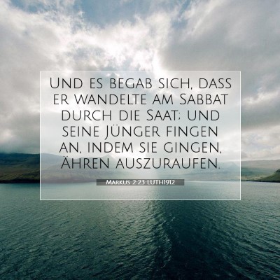 Picture 07 - Markus 2:23 LUTH1912 - Und es begab sich, daß er wandelte am Sabbat - Bible Verse Picture