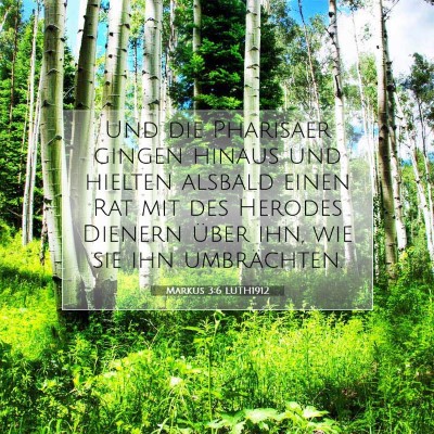 Picture 07 - Markus 3:6 LUTH1912 - Und die Pharisäer gingen hinaus und hielten - Bible Verse Picture