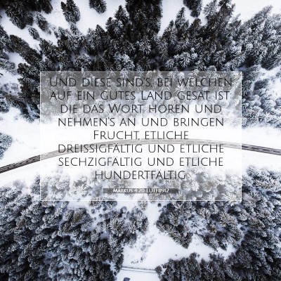 Picture 07 - Markus 4:20 LUTH1912 - Und diese sind's, bei welchen auf ein gutes Land - Bible Verse Picture