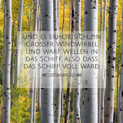 Picture 07 - Markus 4:37 LUTH1912 - Und es erhob sich ein großer Windwirbel und warf - Bible Verse Picture
