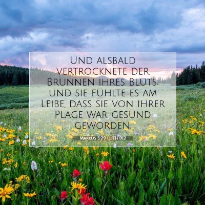 Picture 07 - Markus 5:29 LUTH1912 - Und alsbald vertrocknete der Brunnen ihres Bluts; - Bible Verse Picture