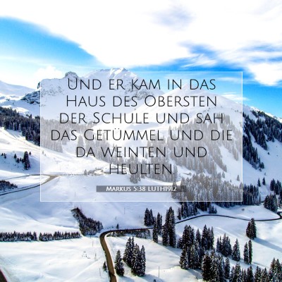 Picture 07 - Markus 5:38 LUTH1912 - Und er kam in das Haus des Obersten der Schule - Bible Verse Picture