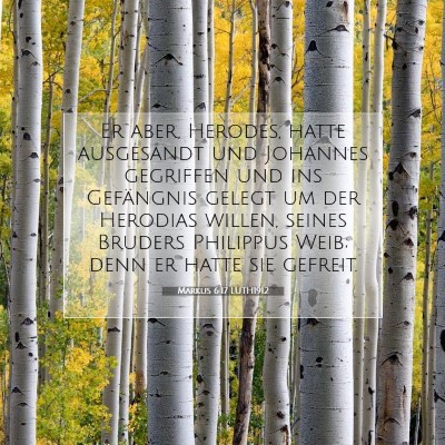 Picture 07 - Markus 6:17 LUTH1912 - Er aber, Herodes, hatte ausgesandt und Johannes - Bible Verse Picture