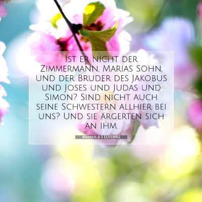Picture 07 - Markus 6:3 LUTH1912 - Ist er nicht der Zimmermann, Marias Sohn, und der - Bible Verse Picture