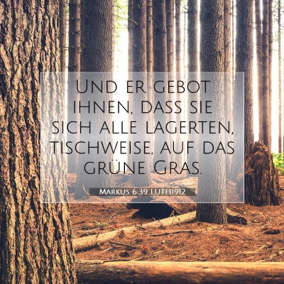 Picture 07 - Markus 6:39 LUTH1912 - Und er gebot ihnen, daß sie sich alle lagerten, - Bible Verse Picture