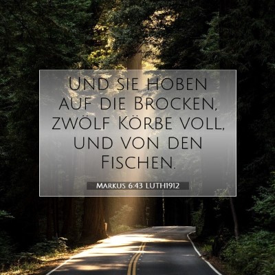 Picture 07 - Markus 6:43 LUTH1912 - Und sie hoben auf die Brocken, zwölf Körbe - Bible Verse Picture