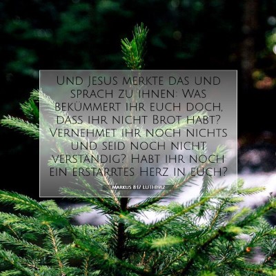 Picture 07 - Markus 8:17 LUTH1912 - Und Jesus merkte das und sprach zu ihnen: Was - Bible Verse Picture