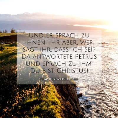 Picture 07 - Markus 8:29 LUTH1912 - Und er sprach zu ihnen: Ihr aber, wer sagt ihr, - Bible Verse Picture
