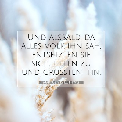 Picture 07 - Markus 9:15 LUTH1912 - Und alsbald, da alles Volk ihn sah, entsetzten - Bible Verse Picture