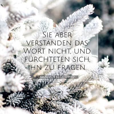 Picture 07 - Markus 9:32 LUTH1912 - Sie aber verstanden das Wort nicht, und - Bible Verse Picture