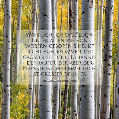 Picture 07 - Matthäus 11:11 LUTH1912 - Wahrlich ich sage euch: Unter allen, die von - Bible Verse Picture