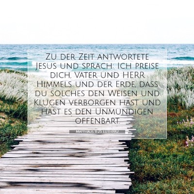 Picture 07 - Matthäus 11:25 LUTH1912 - Zu der Zeit antwortete Jesus und sprach: Ich - Bible Verse Picture