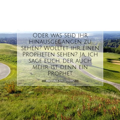 Picture 07 - Matthäus 11:9 LUTH1912 - Oder was seid ihr hinausgegangen zu sehen? - Bible Verse Picture