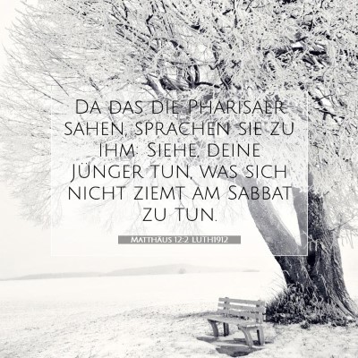 Picture 07 - Matthäus 12:2 LUTH1912 - Da das die Pharisäer sahen, sprachen sie zu ihm: - Bible Verse Picture