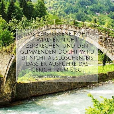 Picture 07 - Matthäus 12:20 LUTH1912 - das zerstoßene Rohr wird er nicht zerbrechen, - Bible Verse Picture