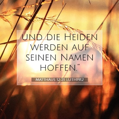 Picture 07 - Matthäus 12:21 LUTH1912 - und die Heiden werden auf seinen Namen - Bible Verse Picture