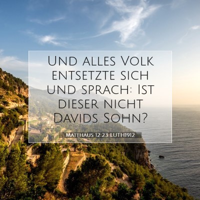 Picture 07 - Matthäus 12:23 LUTH1912 - Und alles Volk entsetzte sich und sprach: Ist - Bible Verse Picture