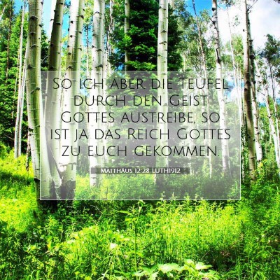 Picture 07 - Matthäus 12:28 LUTH1912 - So ich aber die Teufel durch den Geist Gottes - Bible Verse Picture