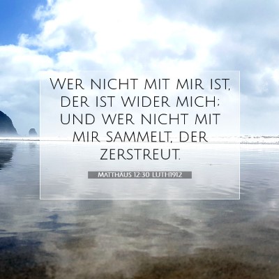 Picture 07 - Matthäus 12:30 LUTH1912 - Wer nicht mit mir ist, der ist wider mich; und - Bible Verse Picture