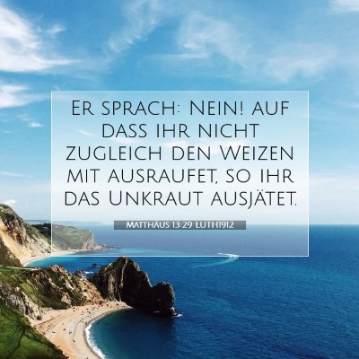 Picture 07 - Matthäus 13:29 LUTH1912 - Er sprach: Nein! auf daß ihr nicht zugleich den - Bible Verse Picture
