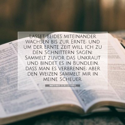 Picture 07 - Matthäus 13:30 LUTH1912 - Lasset beides miteinander wachsen bis zur Ernte; - Bible Verse Picture