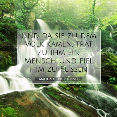 Picture 07 - Matthäus 17:14 LUTH1912 - Und da sie zu dem Volk kamen, trat zu ihm ein - Bible Verse Picture