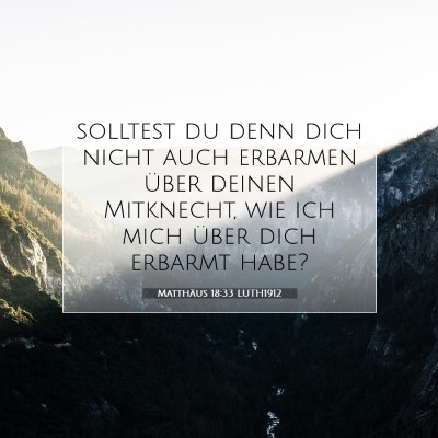Picture 07 - Matthäus 18:33 LUTH1912 - solltest du denn dich nicht auch erbarmen über - Bible Verse Picture